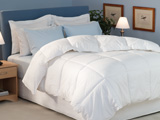 All Bedding