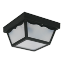 Outdoor Ceiling Fixtures