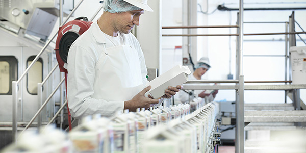 Georgia Pacific Industrial